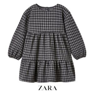 NWT Zara flannel dress